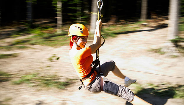 Pattaya's Flight of the Gibbon